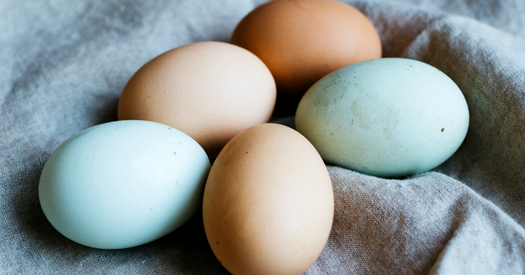 Egg Buying Guide: Pasture-Raised, Free-Range, or Cage-Free?